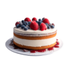 Double layer fruit cake